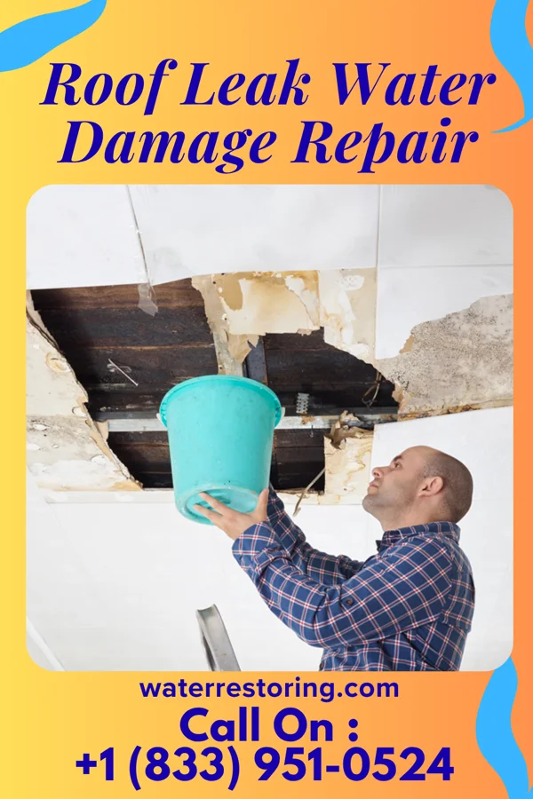 Roof Leak Water Damage Repair in Decaturville, TN
