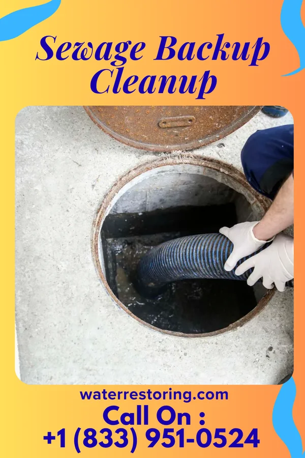Sewage Backup Cleanup in Decaturville, TN